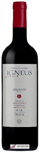 Winery Mas Igneus - Vinyes de Coster FA 206