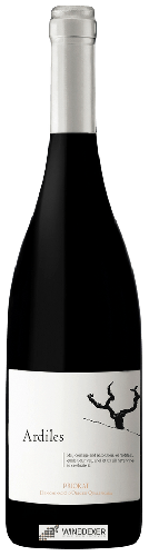 Winery Merum Priorati - Ardiles