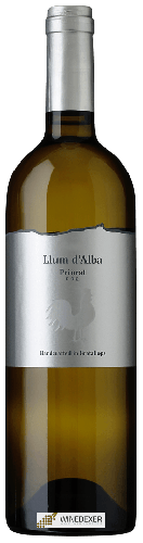 Winery Trossos del Priorat - Llum d'Alba