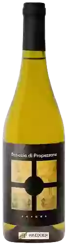 Winery Abbazia di Propezzano - Anfora
