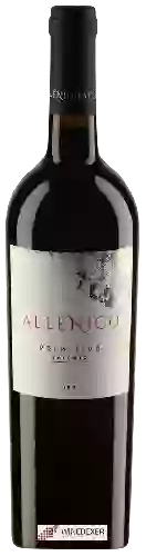 Winery Allenico