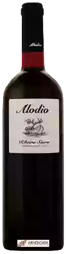 Winery Alodio - Ribeira Sacra