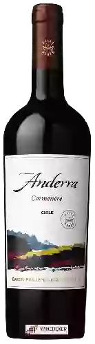 Winery Anderra - Carmen&egravere