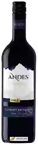 Winery Andes
