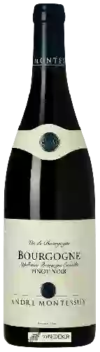 Winery Andre Montessuy - Bourgogne Pinot Noir
