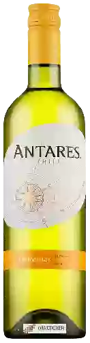 Winery Antares