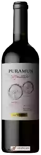 Winery Puramun - Co-Fermented