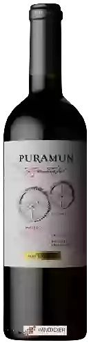 Winery Puramun