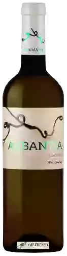 Winery Arbantia - Albarino