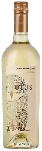 Winery Asio Otus