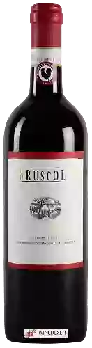 Winery Bruscola - Chianti Classico