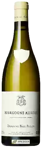 Winery Paul Pillot - Bourgogne Aligoté
