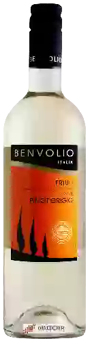 Winery Benvolio