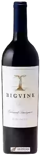 Winery Big Vine