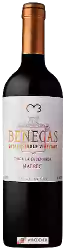 Winery Benegas - La Encerrada Vineyard Malbec