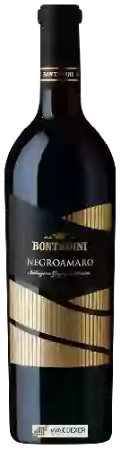 Winery Bontadini