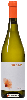 Winery Brandini - Moscato d'Asti