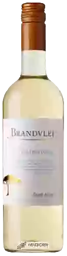 Winery Brandvlei - Chardonnay Dry