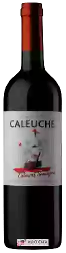 Winery Caleuche