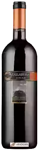 Winery Callabriga - Alentejo