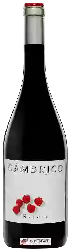 Winery Cámbrico - Rufete