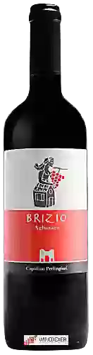 Winery Capolino Perlingieri - Brizio Aglianico
