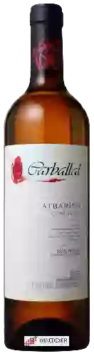 Winery Carballal