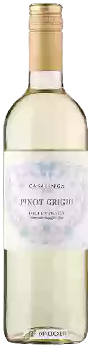 Winery Casalinga - Pinot Grigio