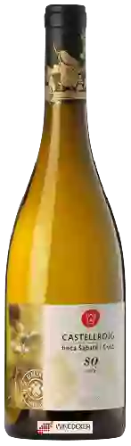 Winery Castellroig - Finca Sabaté i Coca Sø Seré