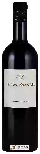 Winery Cheval des Andes - Mendoza