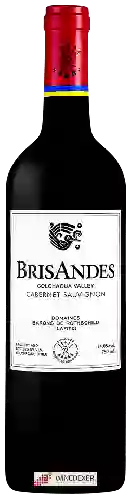 Winery BrisAndes - Cabernet Sauvignon