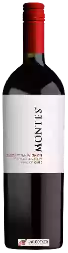 Winery Villa Montes