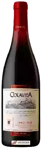 Winery Colavita - Provincia di Pavia Pinot Noir