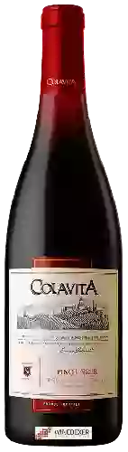 Winery Colavita