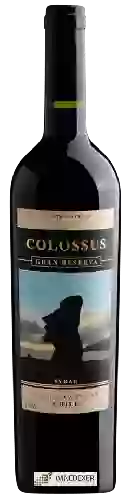 Winery Colossus