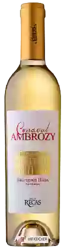 Winery Conacul Ambrozy