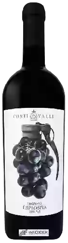 Winery Conti Valli