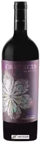 Winery Creencia - Con Actitud Monastrell