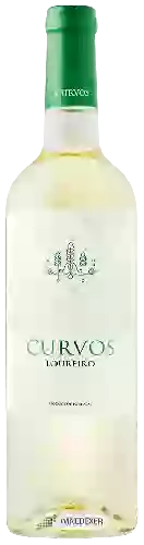 Winery Curvos - Loureiro