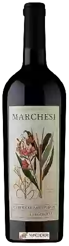 Winery David Marchesi