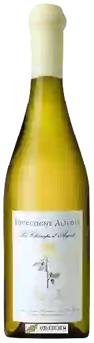 Domaine Arnoux-Lachaux