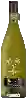 Winery Root 1 - Chardonnay