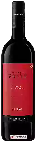 Winery Domènech.Vidal - Masia Freyé Syrah - Tempranillo