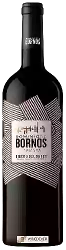 Winery Dominio de Bornos