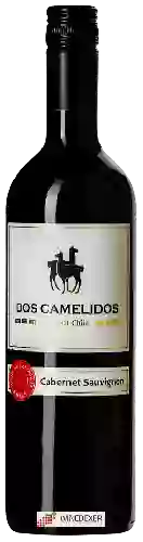 Winery Dos Camelidos - Cabernet Sauvignon