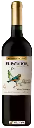 Winery El Payador