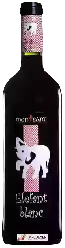 Winery Ricard M de Simón - Elefant Blanc