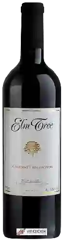 Winery Elm Tree