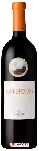 Winery Emilio Moro - Malleolus