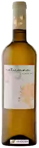 Winery Columna - Albariño
